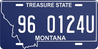 MT license plate 960124U