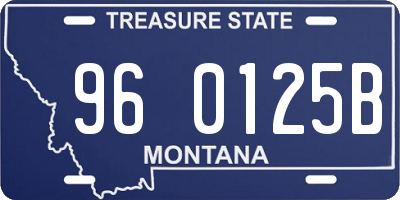 MT license plate 960125B