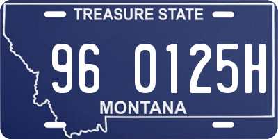 MT license plate 960125H