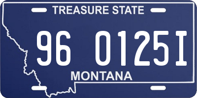 MT license plate 960125I