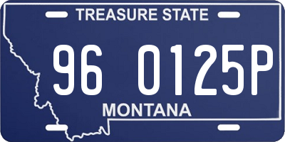 MT license plate 960125P