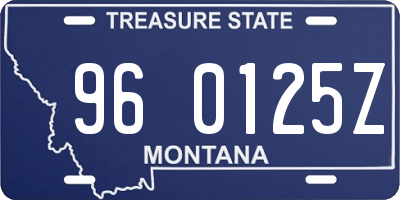 MT license plate 960125Z