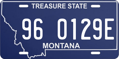 MT license plate 960129E