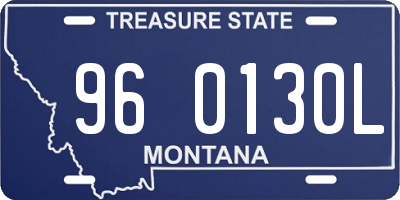 MT license plate 960130L