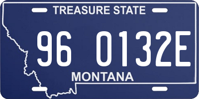 MT license plate 960132E