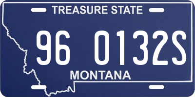MT license plate 960132S