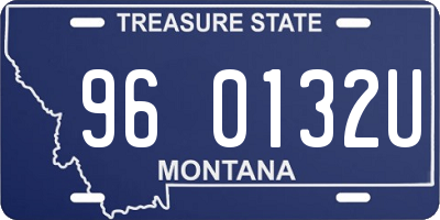 MT license plate 960132U