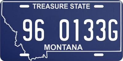 MT license plate 960133G