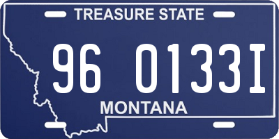 MT license plate 960133I