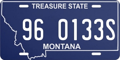 MT license plate 960133S