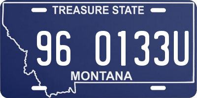 MT license plate 960133U
