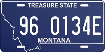 MT license plate 960134E
