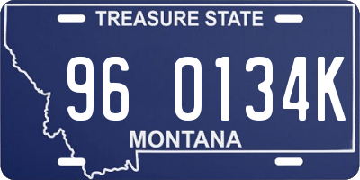 MT license plate 960134K
