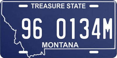 MT license plate 960134M