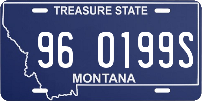 MT license plate 960199S