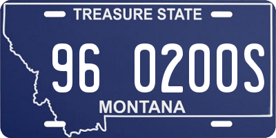 MT license plate 960200S