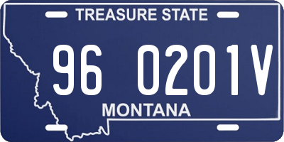 MT license plate 960201V