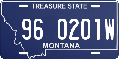 MT license plate 960201W