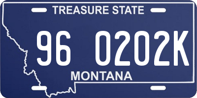 MT license plate 960202K