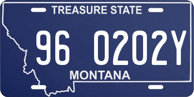 MT license plate 960202Y