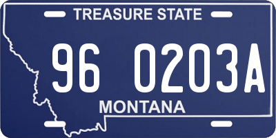 MT license plate 960203A