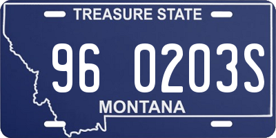 MT license plate 960203S