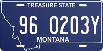 MT license plate 960203Y