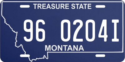 MT license plate 960204I