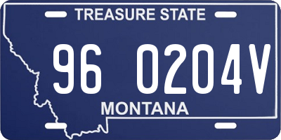 MT license plate 960204V