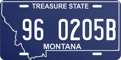 MT license plate 960205B