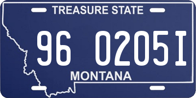 MT license plate 960205I