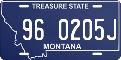 MT license plate 960205J