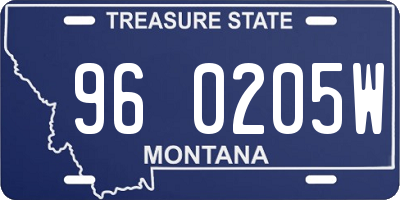 MT license plate 960205W