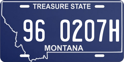 MT license plate 960207H