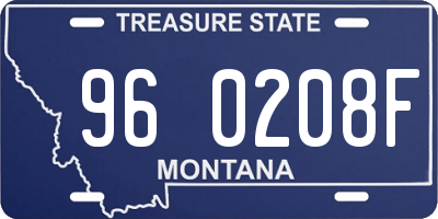 MT license plate 960208F