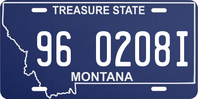 MT license plate 960208I