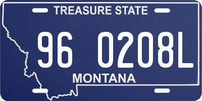 MT license plate 960208L