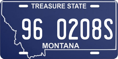 MT license plate 960208S