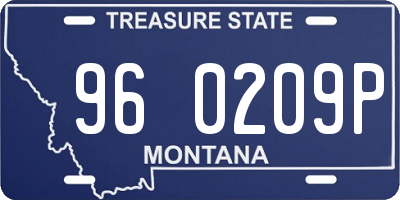 MT license plate 960209P