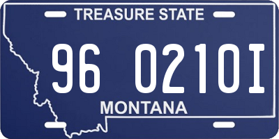 MT license plate 960210I