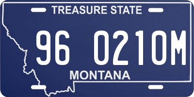 MT license plate 960210M