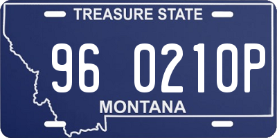 MT license plate 960210P
