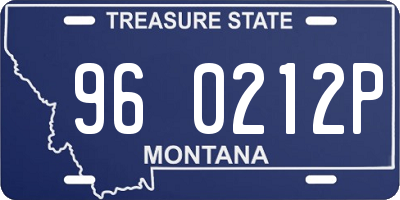 MT license plate 960212P