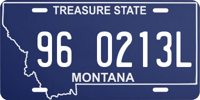MT license plate 960213L