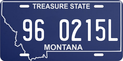 MT license plate 960215L
