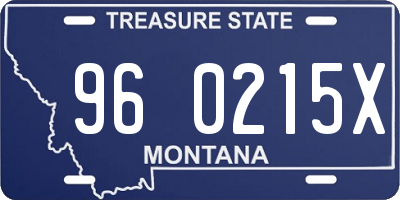 MT license plate 960215X