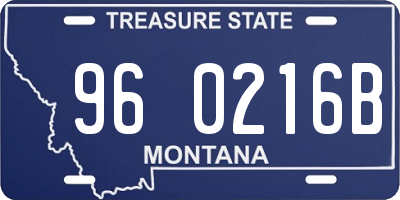 MT license plate 960216B