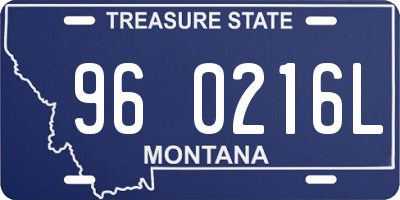 MT license plate 960216L