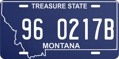 MT license plate 960217B