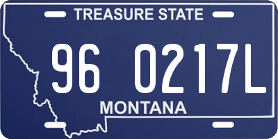 MT license plate 960217L
